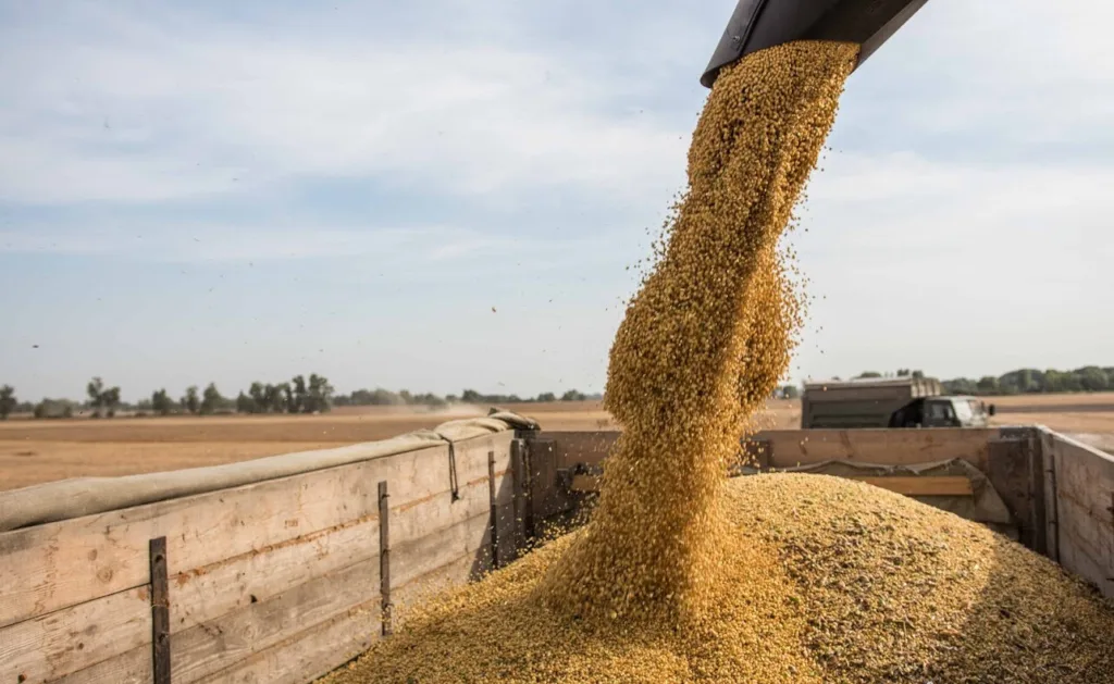Економічна блокада РФ: В Латвії заборонили імпорту зерна з РФ та Білорусії (Фото: google)