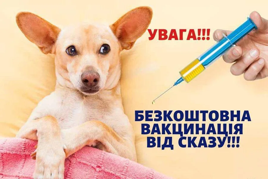 Безкоштовна вакцинація тварин від сказу (Фото: google)