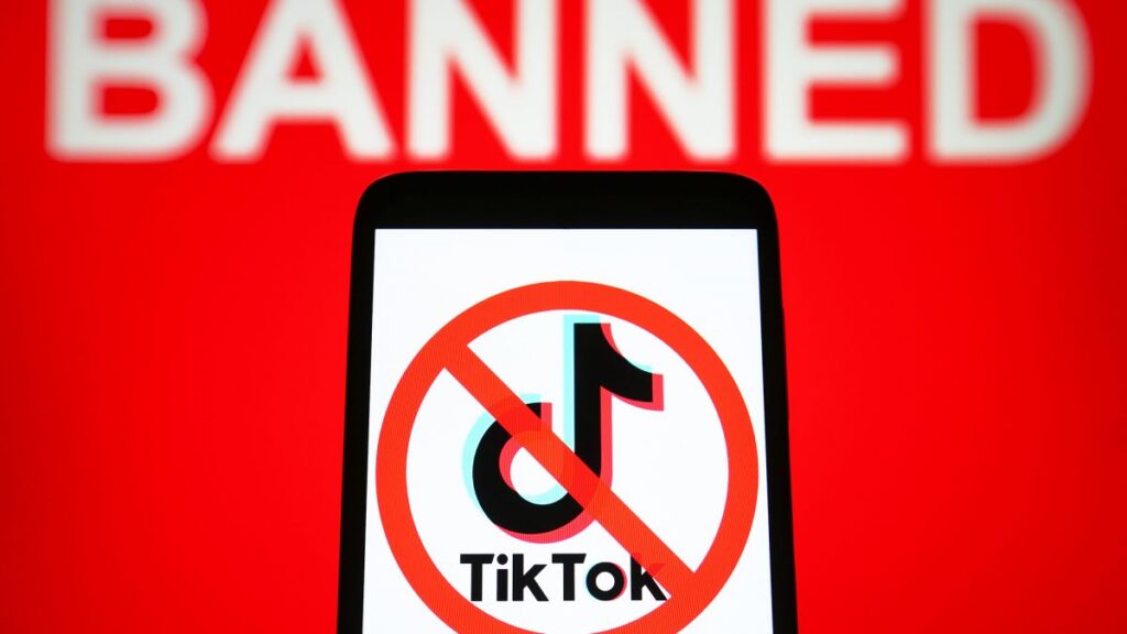 TikTok може бути заблоковано в США: підготовка до обмежень і наслідки (фото: google)