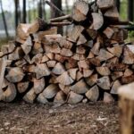 Як обрати дрова: що варто знати про формат, розміри та призначення?