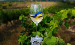 Найкращі виноробні України, які варто відвідати