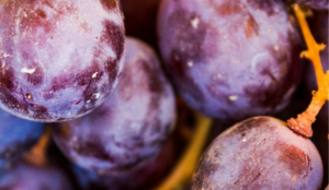 Продуктові ярмарки в Києві цього тижня: де купити свіжі продукти за вигідними цінами