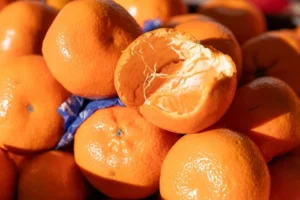 Продуктові ярмарки в Києві наприкінці січня: повний гід адресами та датами