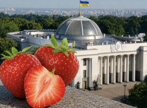 Верховна Рада підтримала декриміналізацію порнографії: що змінить новий законопроєкт