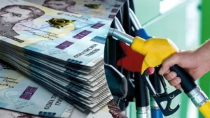 Бензин дорожчає, АЗС вводять ліміти: чи буде в Україні дефіцит пального